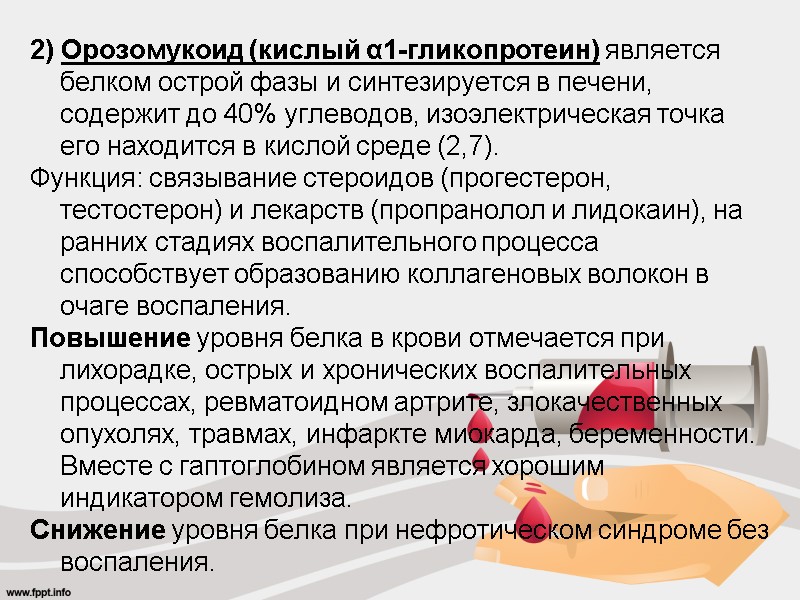2) Орозомукоид (кислый α1-гликопротеин) является белком острой фазы и синтезируется в печени, содержит до